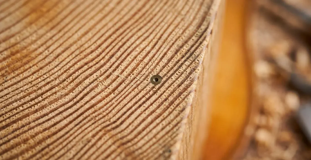 Extreme close-up of Norway spruce tree rings on violin soundboard showing growth patterns